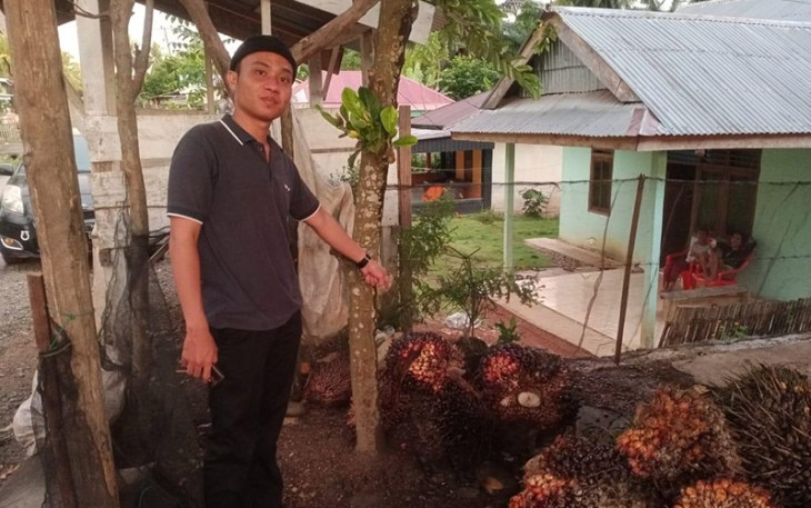 kasus pencurian buah sawit