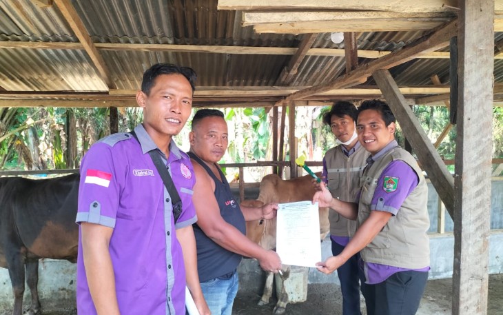 Pemkab Asahan Lakukan Pemeriksaan Hewan Qurban