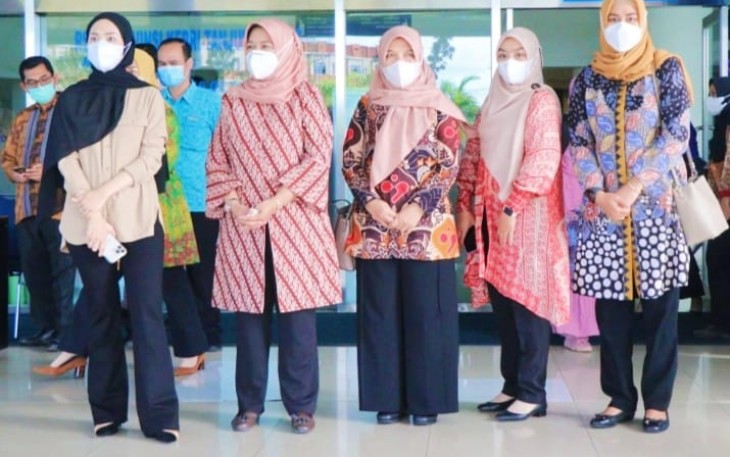 Ketua TP PKK Bintan saat Terima Kunjungan Kepala BKKBN Pusat