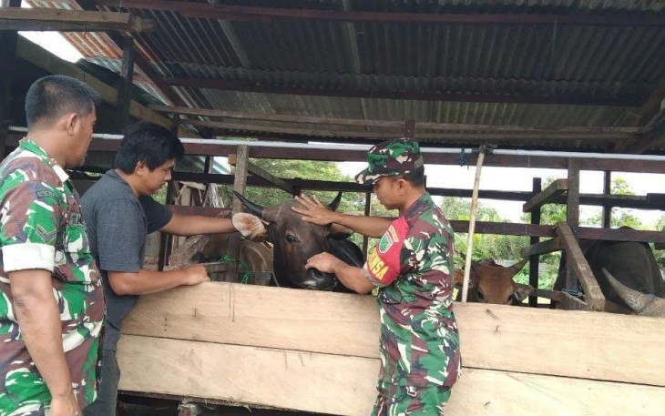 Babinsa Mapurujaya saat Komsos Dengan Peternak Sapi