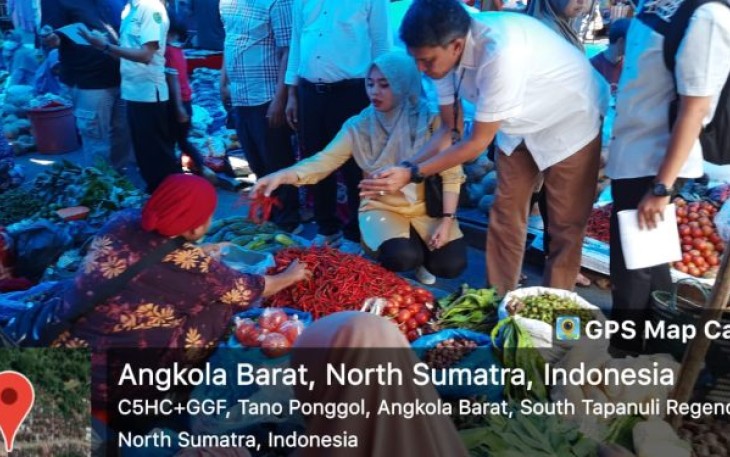 Satgas Pangan Tapsel Monitoring Sembako