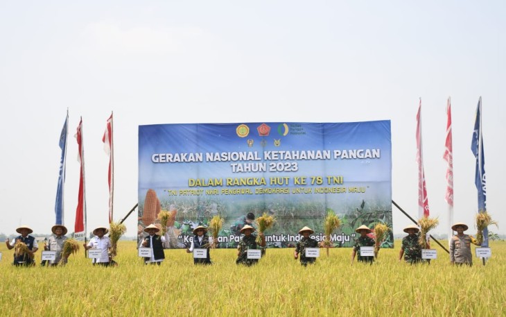 Panen Raya Padi 