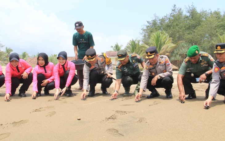 Ratusan Tukik Dilepas Dandim 0806 dan Kapolres Trenggalek untuk Memperingati HUT Brimob dan Polair