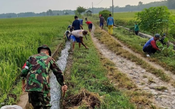 Babinsa saat Bantu Warga Bersihkan Saluran Irigasi di Area Persawahan