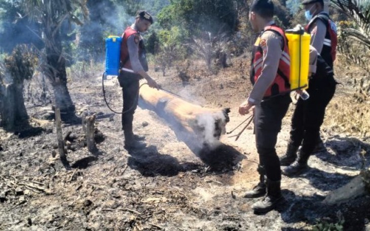 Polres Tapanuli Selatan (Tapsel), saat menerjunkan Sat Samapta dan personel lainnya, guna membantu proses pemadaman api yang membakar kawasan Hutan atau Lahan di Nabundong, Desa Pamuntaran, Kecamatan Padang Bolak Julu, Kabupaten Padang Lawas Utara