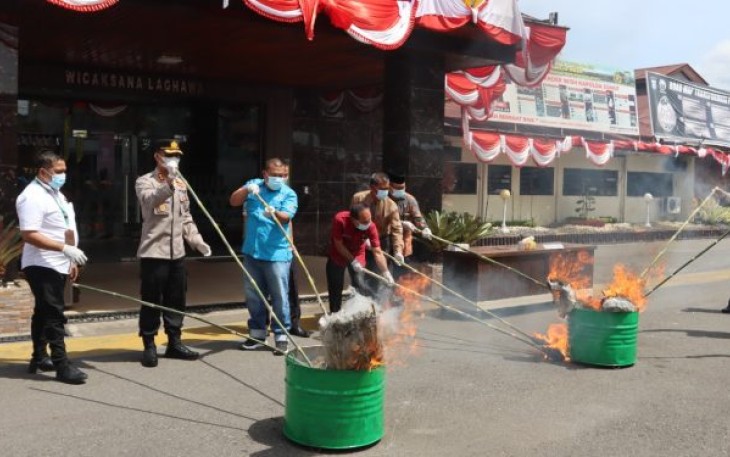 Kapolres dan jajaran Forkopimda yang hadir tampak memusnahkan batang dan daun ganja kering tersebut dengan cara membakarnya.
