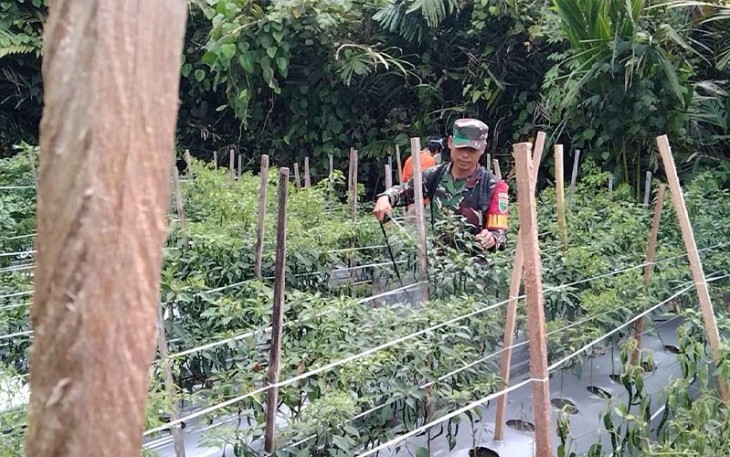 Babinsa Koramil 1710-07/Mapurujaya saat Laksanakan Komsos dengan Petani di Wilayah Binaan