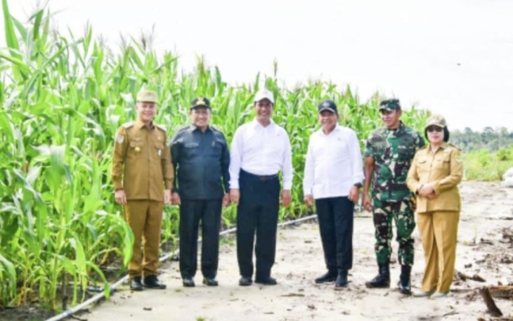 Mentan Andi Amran Sulaiman saat berkunjung ke lahan Food Estate pertanaman jagung di Kabupaten Gunung Mas, Kalimantan Tengah. 