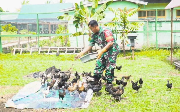 Pakan alternatif hasil daur ulang sampah organik 
