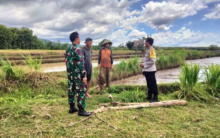 Himbauan tidak gunakan jebakan tikus pakai listrik 
