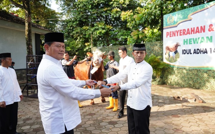 Panglima TNI Kurban Sapi Seberat 1,44 Ton