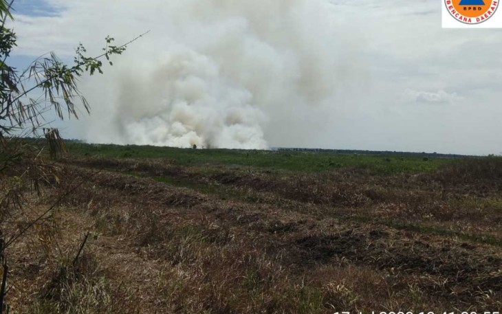 Kebakaran lahan di desa Bajayu Barat, Kecamatan Daha Barat, Provinsi Kalsel, Senin (17/7)