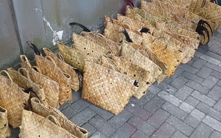  Penyelundupan 44 Ayam Ilegal 