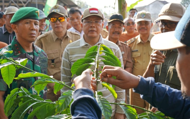Gubernur Bengkulu Rohidin Mersyah dan Pangdam II Sriwijaya Yanuar Adil Saat Menyaksikan Teknik Replanting Kopi Robusta Bengkulu 