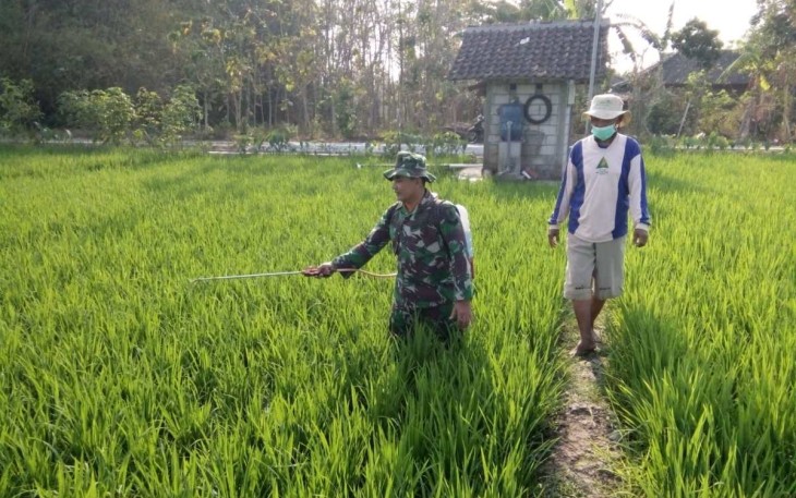 Semprot padi milik warga binaan