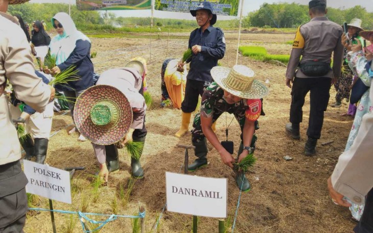 Ketahanan pangan menanam padi di wilayah binaan, Jum'at (20/10)
