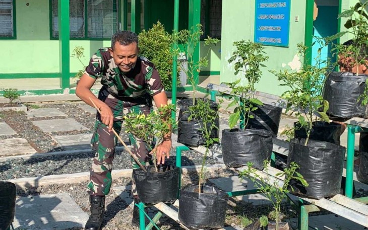 Polybag tanaman cabai manfaatkan lahan terbatas di Makodim, Kamis (28/12)