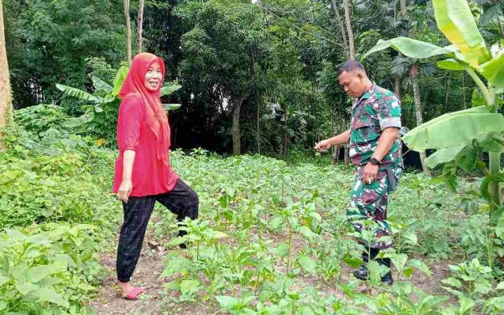 Pemanfaatan lahan belakang rumah warga 