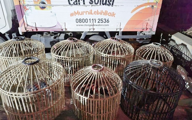 Barang bukti judi sabung ayam di desa Gandoang Kecamatan Cileungsi Bogor 