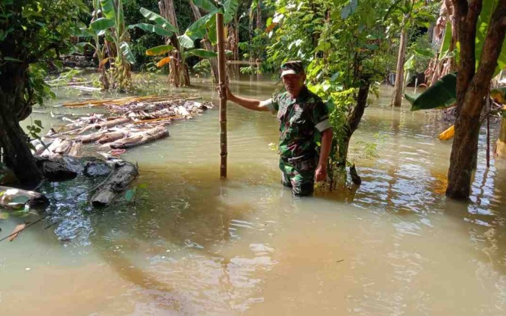 Patok bambu Babinsa untuk memantau perkembangan banjir