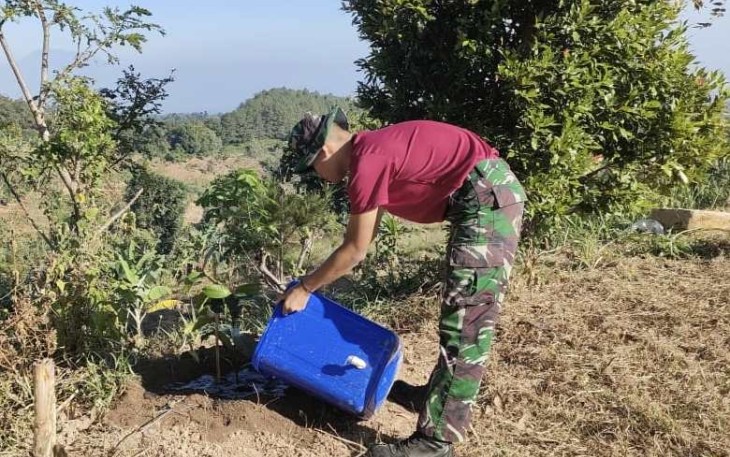 Merawat tanaman saat pelaksanaan TMMD ke 117 Kodim 0803, Kamis (20/7)