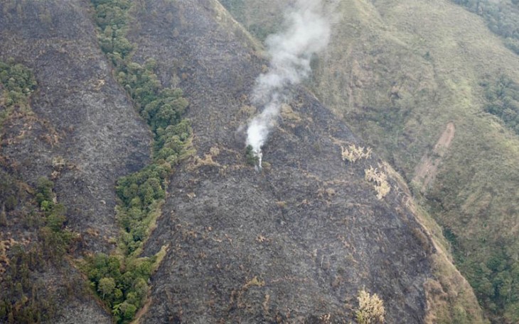 Karhutla di Gunung Arjuno, Pasuruan, Jawa Timur.
