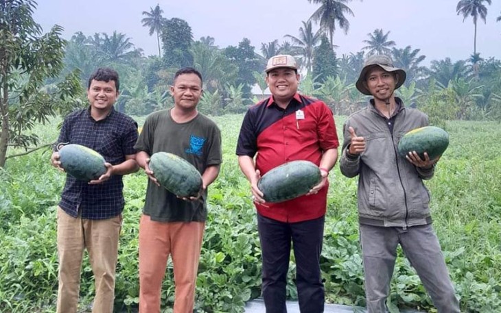 Kadin Batu Bara saat Panen Perdana Semangka Binaan