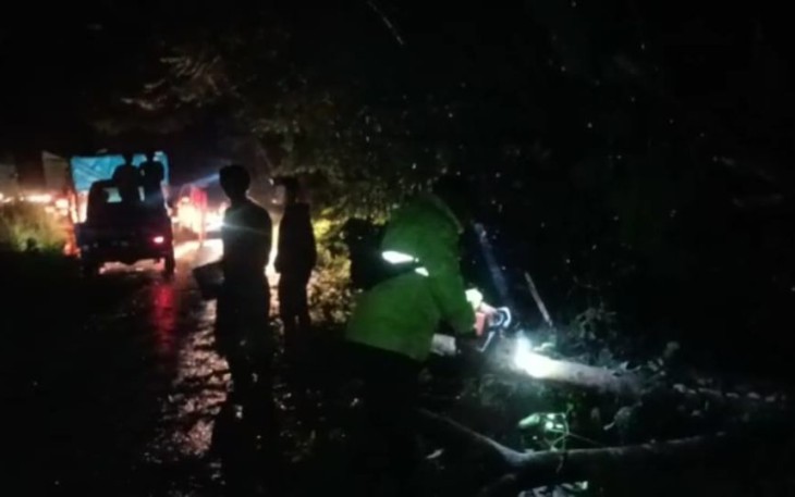Respon Cepat, Personel Polsek Air Besi Evakuasi Pohon Tumbang