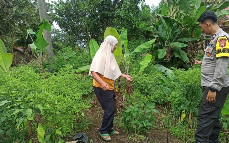 Polsek Kerkap Turun ke Lapangan dan Dukung Program Ketahanan Pangan