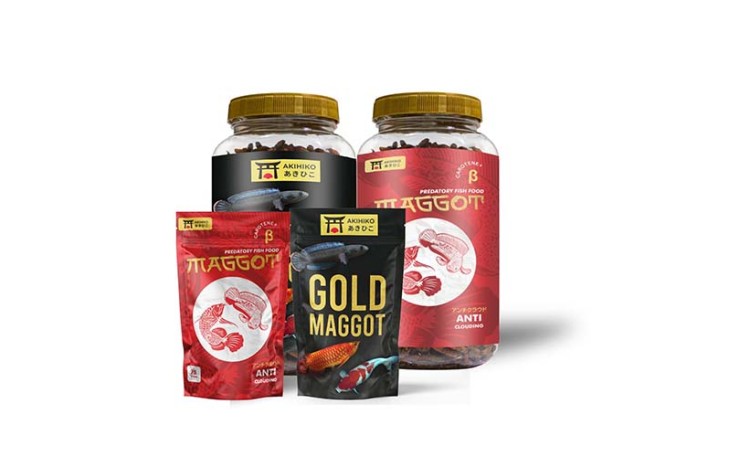 Produk dry maggot sebagai pakan ikan hias produksi dari Tim TBB Maggot