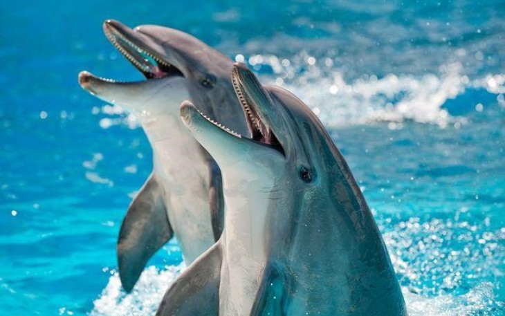 Foto: Getty Images/alexxx1981