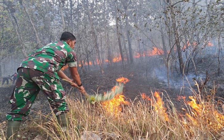 Babinsa Ngepeh Sertu Mugianto Selamatkan Lingkungan dari Kebakaran Hutan