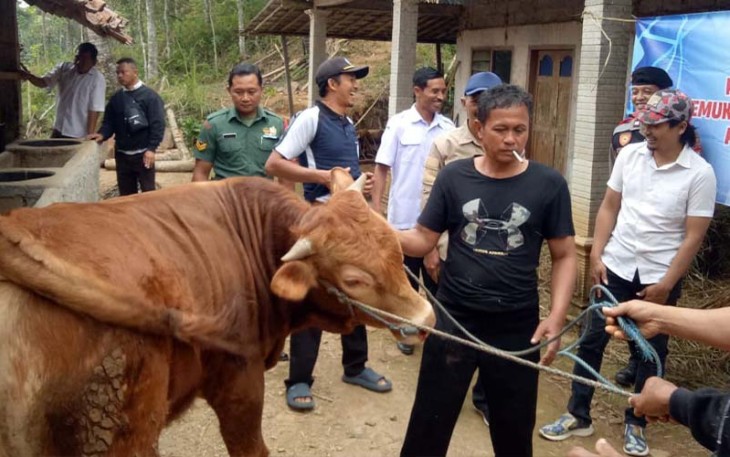 Babinsa Koramil 0801/05 Nawangan Dampingi Penyerahan Hewan Ternak