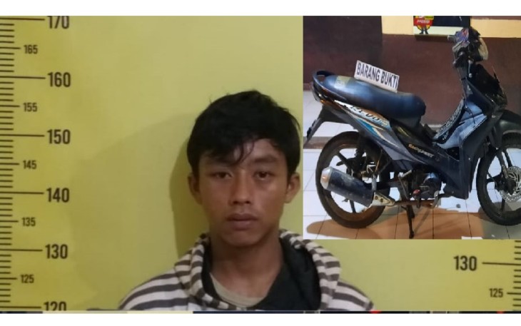 Terduga Pelaku Diamankan        