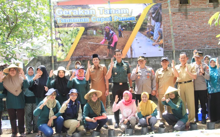 Dandim Trenggalek dan Wakil Bupati Dukung Gerakan Tanam Cepat Panen di Desa Pandean