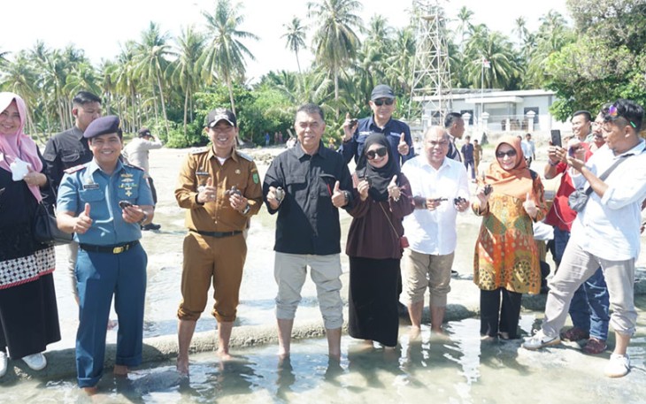 Pelepasan Bibit Penyu