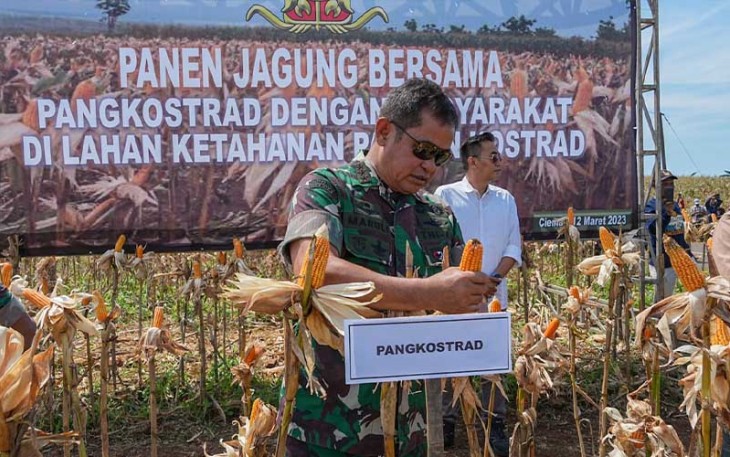 Pangkostrad saat Panen Jagungdi Ciemas, Kab. Sukabumi, Jawa Barat. Minggu  (12/3/2023).