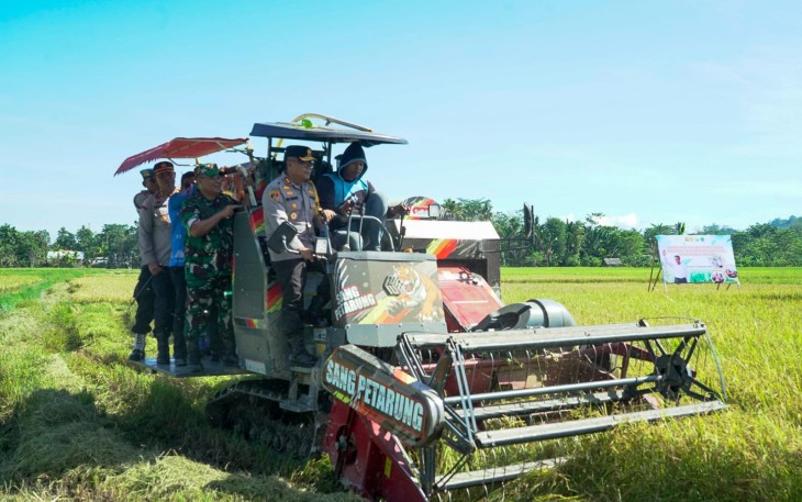 Panen raya bersama masyarakat.