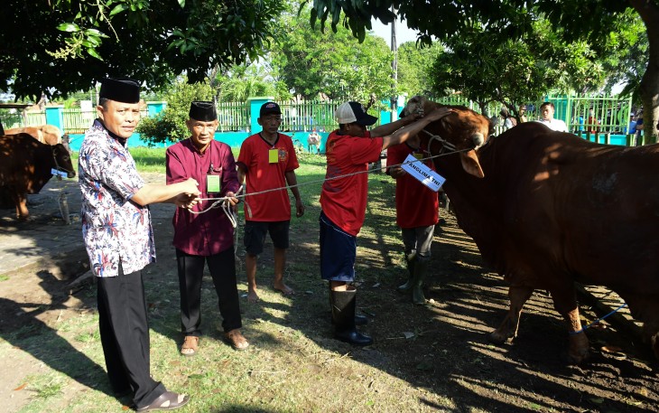 Danpuspenerbal, Laksamana Muda TNl Sisyani Jaffar saat menyerahkan secara simbolis 58 ekor hewan kurban kepada Panitia Idul Adha Puspenerbal 2024 usai pelaksanaan Solat Idul Adha 1445 H di halaman Mesjid As Suhada, Lanudal Juanda, Senin (17/6/2024).