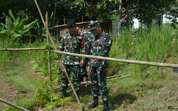 Danrem 121/Abw Brigjen TNI Purnomosidi, S.I.P., M.A.P., M. Han., bersama prajurit Satgas Pamtas RI-Malaysia jajaran Kolakops Rem 121/Abw, pada Jumat (27/12/2024) tinjau langsung lahan untuk ketahanan pangan di sekitar pos