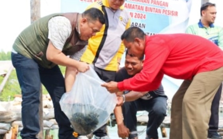 Sekda Bintan Tabur 1200 Benih Ikan Kerapu Cantang di Desa Kelong