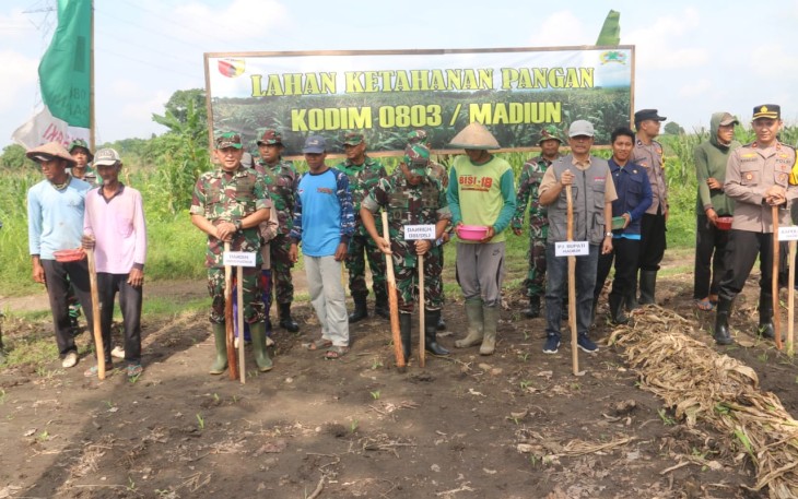 Kodim Madiun Targetkan 200 Hektare Lahan Untuk Tanaman Jagung