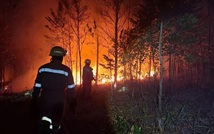 Kondisi Lahan yang terbakar dan upaya pemadaman oleh Tim Gabungan di Kabupaten Bintan, Provinsi. kepulauan Riau (29/7) 