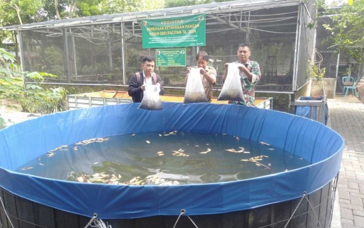 Penaburan benih ikan lele di lahan Makodim 0801/Pacitan