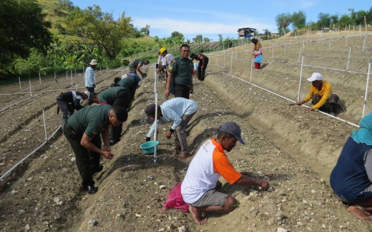 Tanam bawang merah bersama kelompok tani di dusun Galung Para, Rabu (28/2)