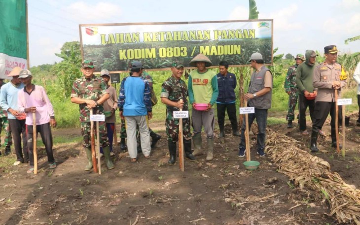 Danrem 081/DSJ Kolonel Inf H. Sugiyono saat tanam jagung di wilayah Saradan Kabupaten Madiun, Minggu (3/3)