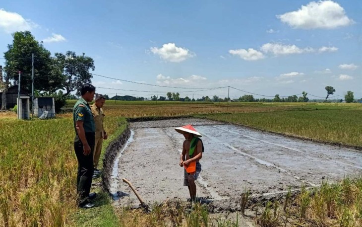 Bantu Petani Siapkan Lahan Penyemaian Bibit Padi