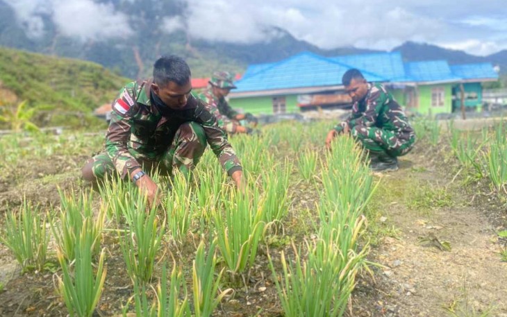 Tanam sayur mayur di sekitar pos kodim persiapan