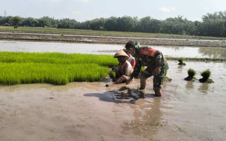 Bantu Petani Siapkan Lahan Penyemaian Bibit Padi