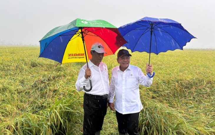Wamenhan M Herindra Tinjau Panen Raya 